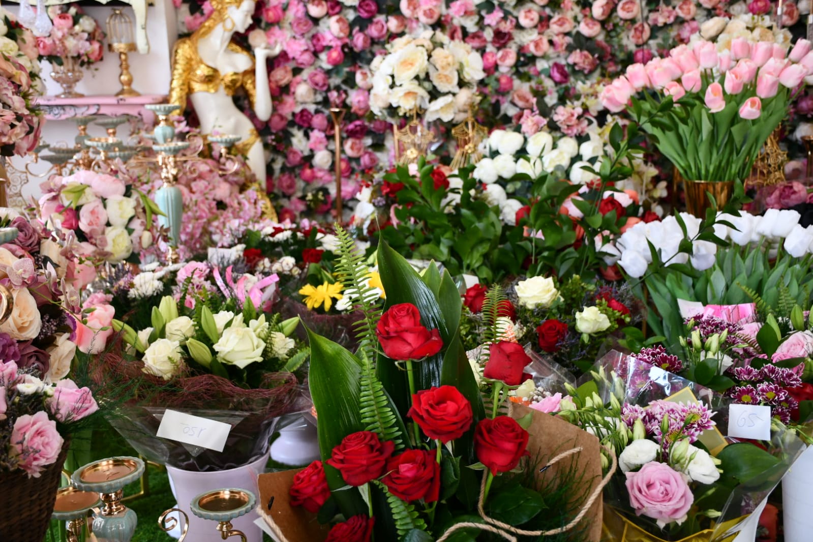 WhatsApp Image 2020-05-22 at 4.36.03 PM (3).jpeg.jpeg